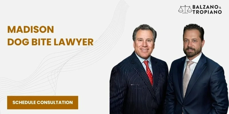 best dog bite lawyer in madison best dog bite lawyer in madison