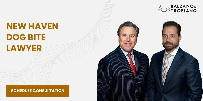 best dog bite lawyer in new haven